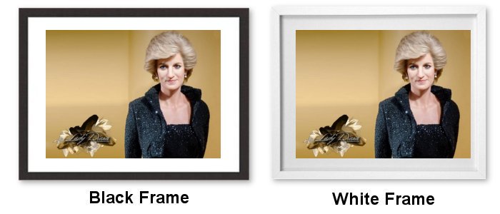 Select Your Frame